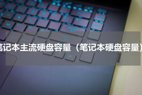 笔记本主流硬盘容量（笔记本硬盘容量）