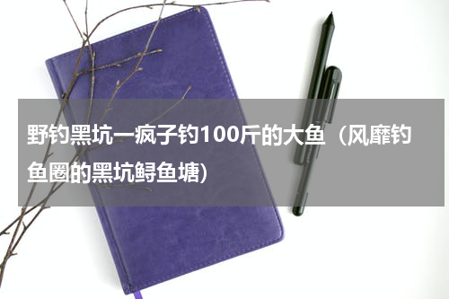 野钓黑坑一疯子钓100斤的大鱼（风靡钓鱼圈的黑坑鲟鱼塘）