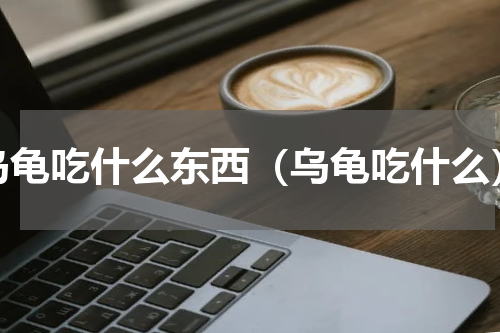 乌龟吃什么东西（乌龟吃什么）