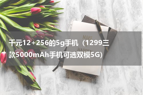 千元12+256的5g手机（1299三款5000mAh手机可选双模5G）
