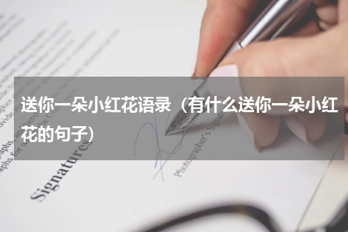 送你一朵小红花语录（有什么送你一朵小红花的句子）