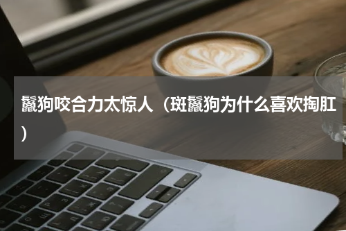 鬣狗咬合力太惊人（斑鬣狗为什么喜欢掏肛）