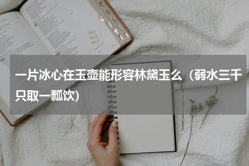 一片冰心在玉壶能形容林黛玉么（弱水三千只取一瓢饮）