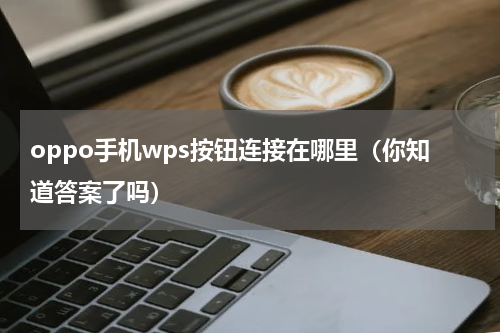 oppo手机wps按钮连接在哪里（你知道答案了吗）