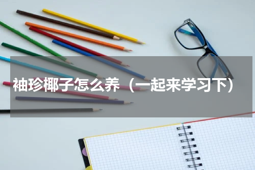 袖珍椰子怎么养（一起来学习下）