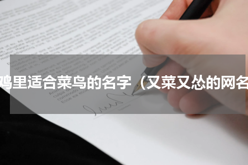 吃鸡里适合菜鸟的名字（又菜又怂的网名）