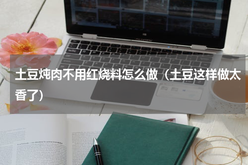 土豆炖肉不用红烧料怎么做（土豆这样做太香了）