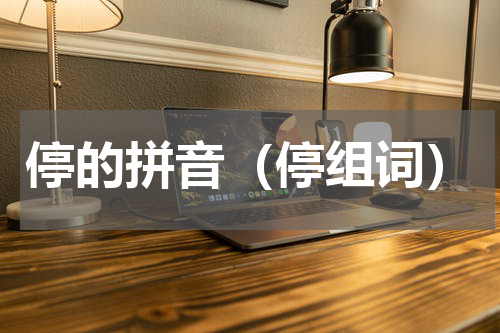 停的拼音（停组词）