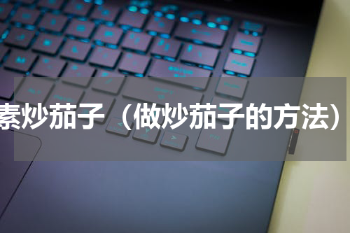 素炒茄子（做炒茄子的方法）