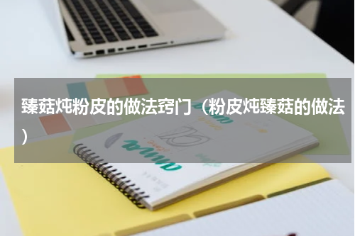 臻菇炖粉皮的做法窍门（粉皮炖臻菇的做法）