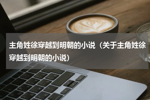 主角姓徐穿越到明朝的小说（关于主角姓徐穿越到明朝的小说）