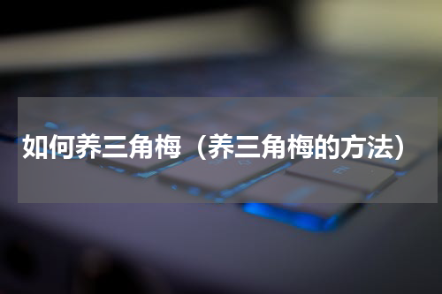 如何养三角梅（养三角梅的方法）