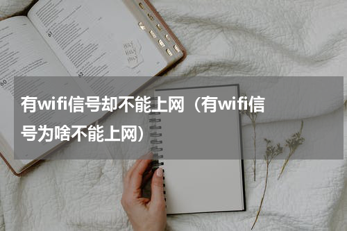 有wifi信号却不能上网（有wifi信号为啥不能上网）