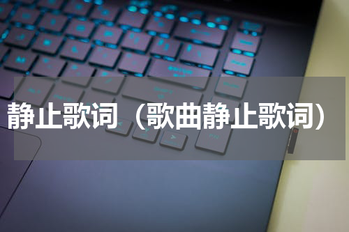静止歌词（歌曲静止歌词）