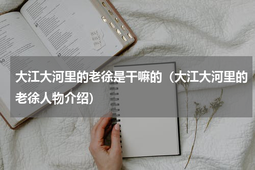 大江大河里的老徐是干嘛的（大江大河里的老徐人物介绍）