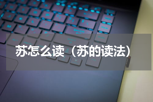 苏怎么读（苏的读法）
