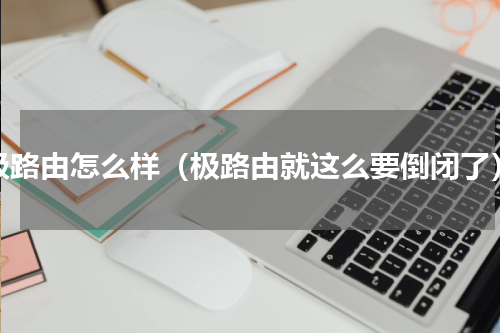 极路由怎么样（极路由就这么要倒闭了）