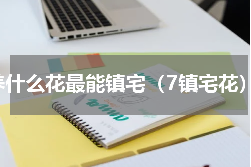 养什么花最能镇宅（7镇宅花）