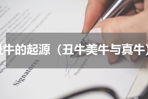 丑牛的起源（丑牛美牛与真牛）
