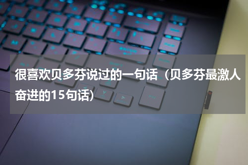 很喜欢贝多芬说过的一句话（贝多芬最激人奋进的15句话）