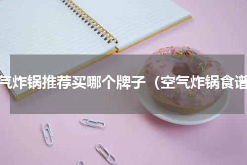 空气炸锅推荐买哪个牌子（空气炸锅食谱）