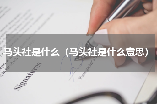 马头社是什么（马头社是什么意思）