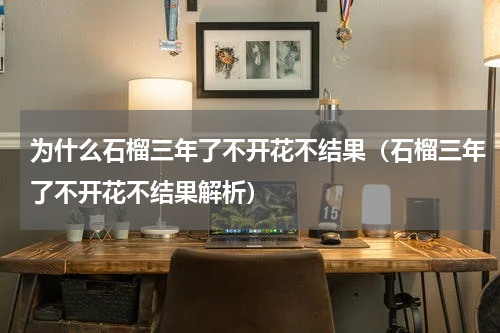 为什么石榴三年了不开花不结果（石榴三年了不开花不结果解析）