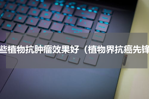 哪些植物抗肿瘤效果好（植物界抗癌先锋）