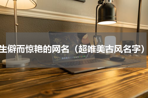 生僻而惊艳的网名（超唯美古风名字）