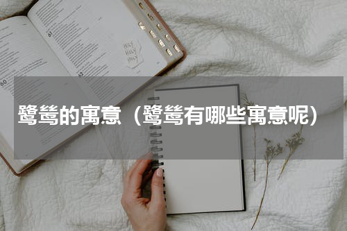 鹭鸶的寓意（鹭鸶有哪些寓意呢）
