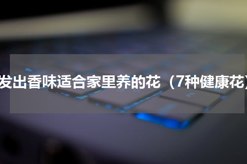 能发出香味适合家里养的花（7种健康花）