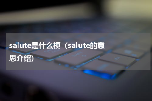 salute是什么梗（salute的意思介绍）