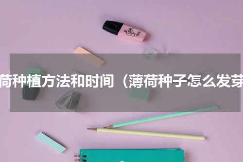 薄荷种植方法和时间（薄荷种子怎么发芽）
