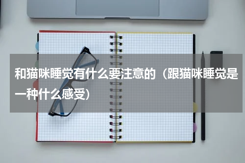 和猫咪睡觉有什么要注意的（跟猫咪睡觉是一种什么感受）