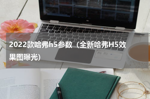 2022款哈弗h5参数（全新哈弗H5效果图曝光）