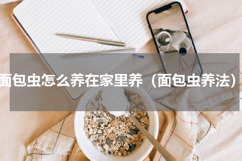 面包虫怎么养在家里养（面包虫养法）