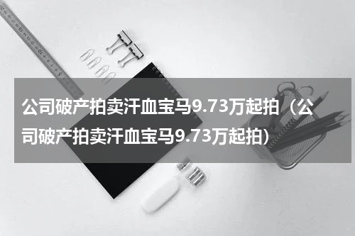 公司破产拍卖汗血宝马9.73万起拍（公司破产拍卖汗血宝马9.73万起拍）