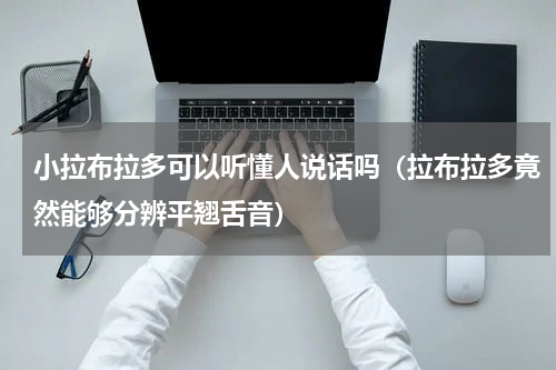小拉布拉多可以听懂人说话吗（拉布拉多竟然能够分辨平翘舌音）