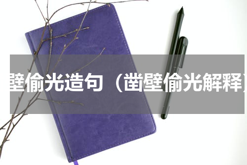 凿壁偷光造句（凿壁偷光解释）
