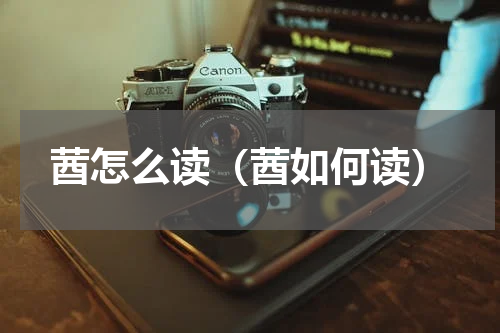 莤怎么读（莤如何读）