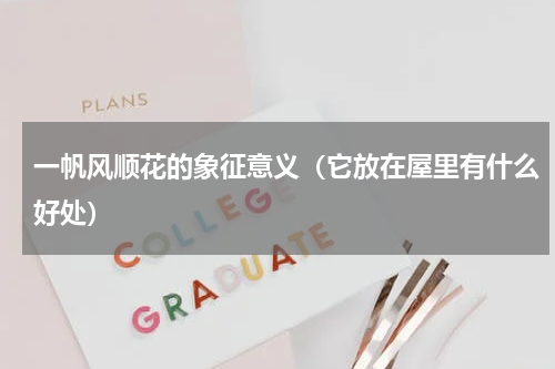 一帆风顺花的象征意义（它放在屋里有什么好处）