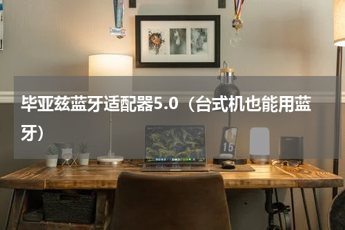 毕亚兹蓝牙适配器5.0（台式机也能用蓝牙）