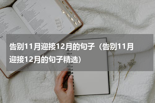 告别11月迎接12月的句子（告别11月迎接12月的句子精选）