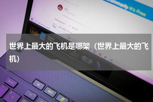 世界上最大的飞机是哪架（世界上最大的飞机）