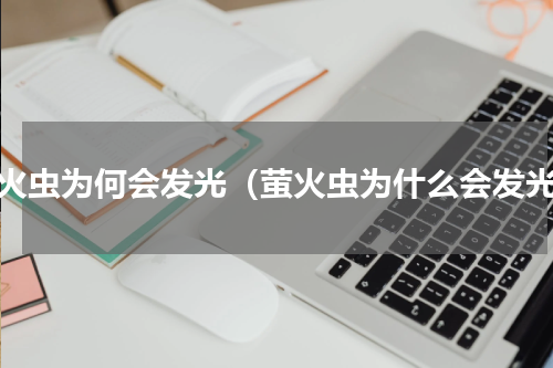 萤火虫为何会发光（萤火虫为什么会发光）