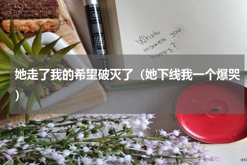 她走了我的希望破灭了（她下线我一个爆哭）