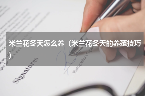 米兰花冬天怎么养（米兰花冬天的养殖技巧）