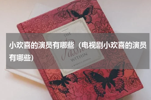 小欢喜的演员有哪些（电视剧小欢喜的演员有哪些）