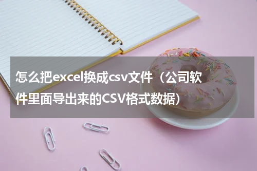 怎么把excel换成csv文件（公司软件里面导出来的CSV格式数据）