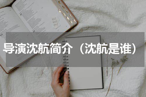 导演沈航简介（沈航是谁）